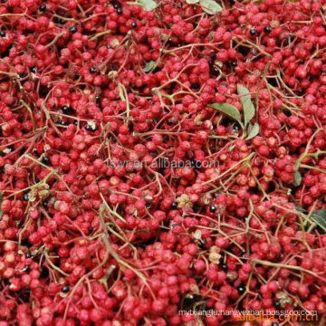 Chinese prickly ash/sichuan pepper